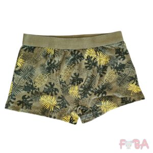 BOXER BIMBO 1-6 ANNI